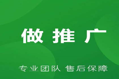 SEO与SEM优化案例：打造行业领先品牌